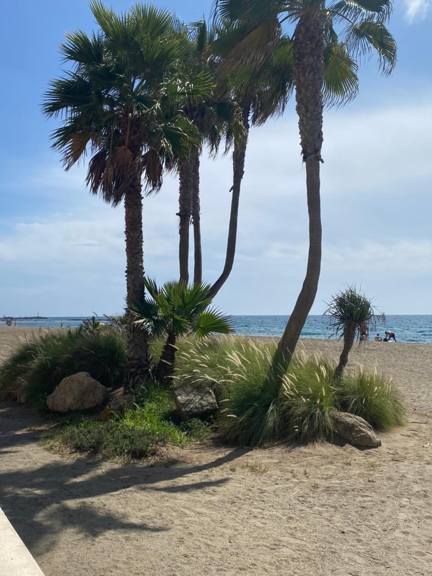 Almeria Playa Zapillo エクステリア 写真